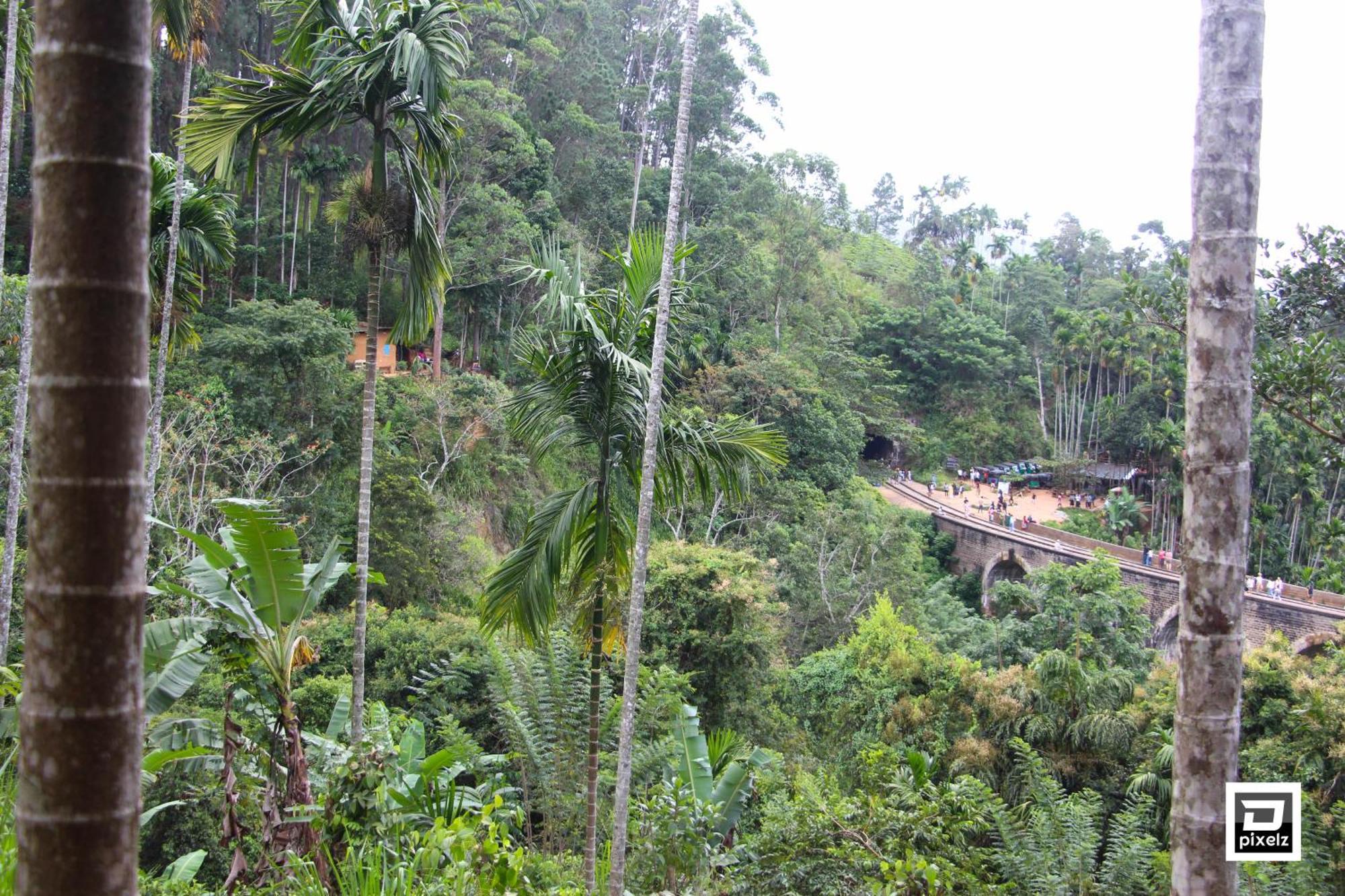 Nine Arch Jungle Inn Ella Exterior photo